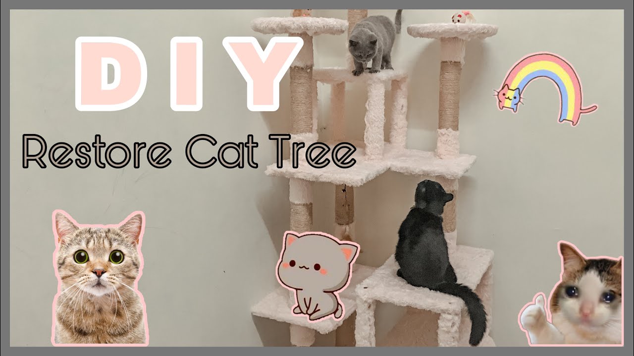 DIY CUTE CAT TREE || RUMAH KUCING COMEL