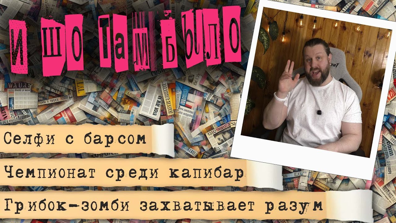 Курьёзы, Исследования, Странности - И ШО ТАМ БЫЛО