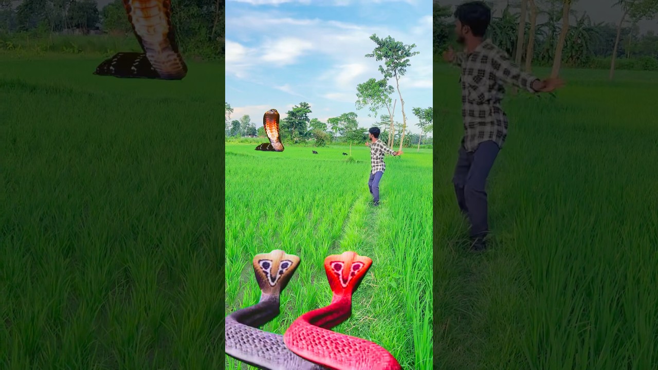Ma manasha mam Anusha Tumi Ektu Dao ￼