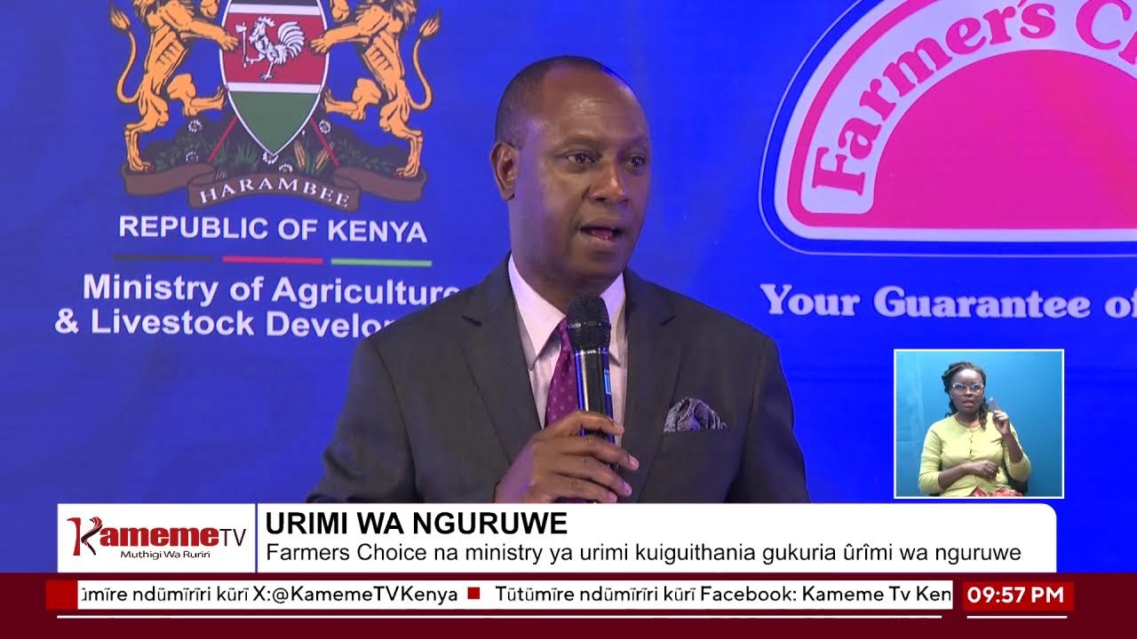 #MutamburukoWaMohoro
