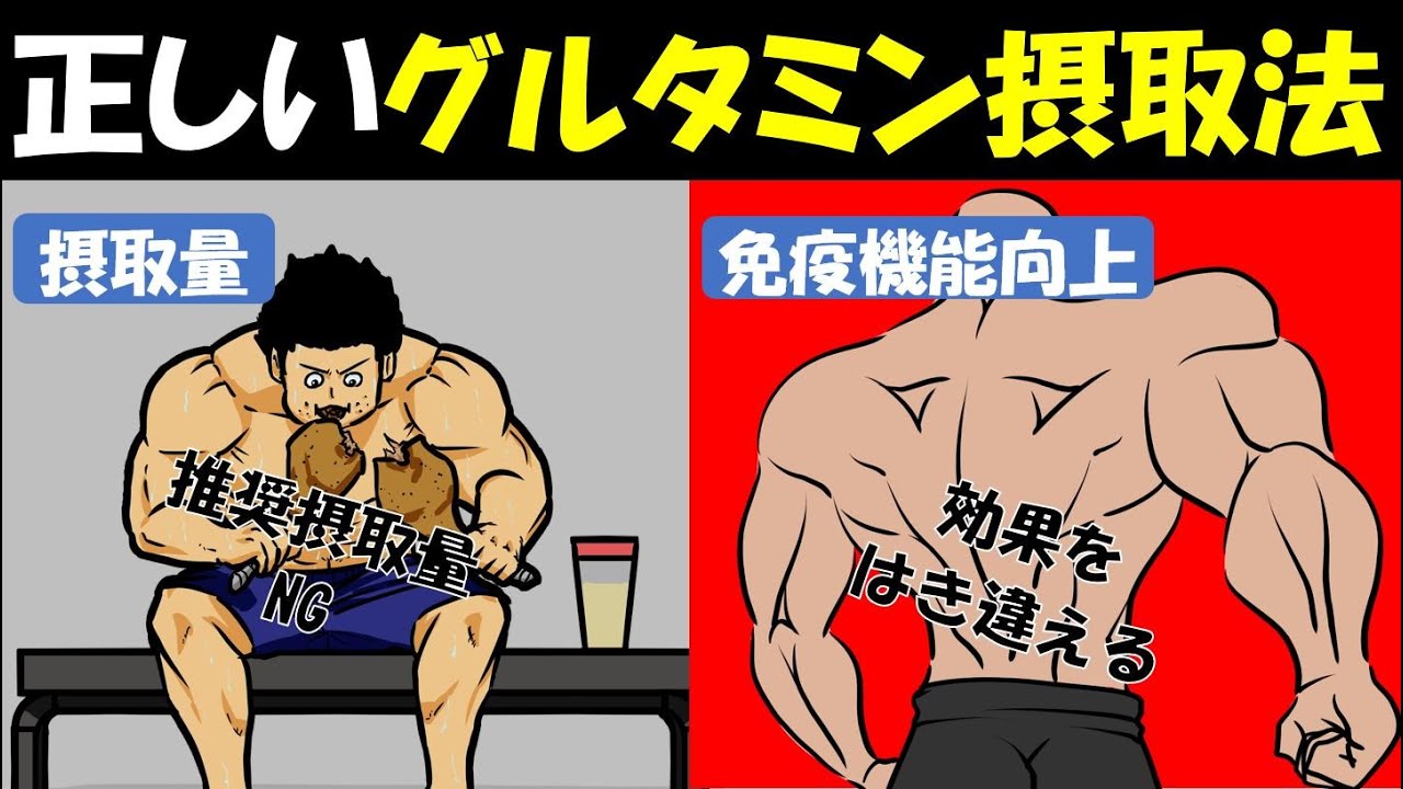 【筋トレ科学】全く意味ないグルタミンの摂取方法　~エビデンスレベルが高い正しい飲み方~
