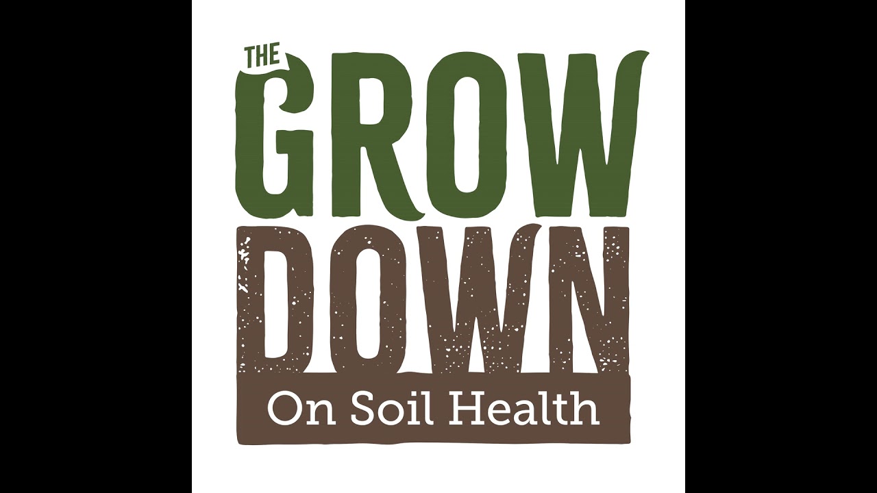 Cover Crops: A Valuable Tool for Today’s Farmer