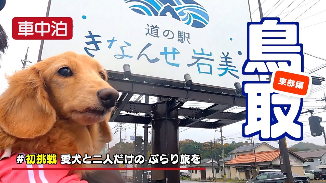 フリードプラス 車中泊 【鳥取】東部 初挑戦 愛犬と二人だけの ぶらり旅を　道の駅清流茶屋かわはら 道の駅きなんせ岩美 道の駅はっとう 道の駅若桜