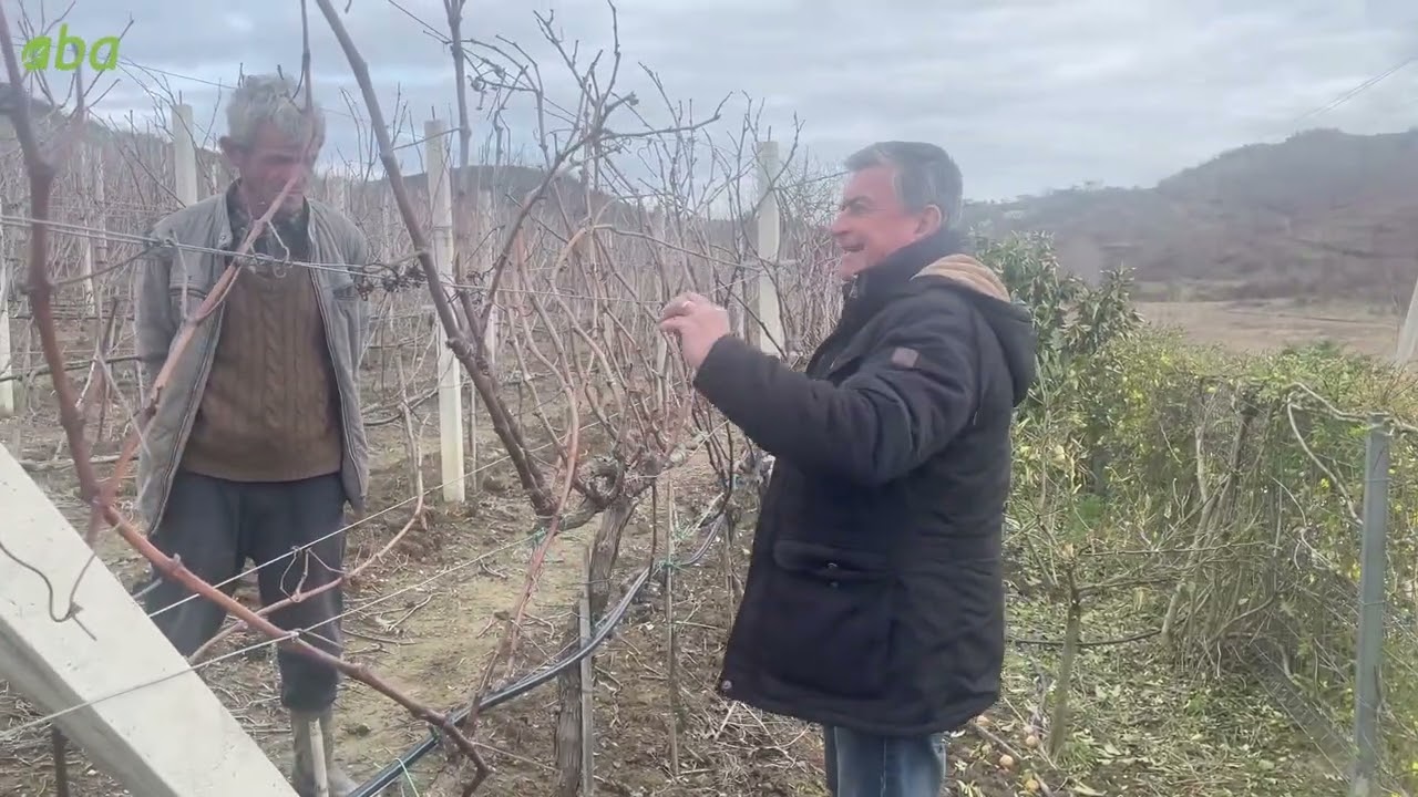 Krasitja tek Hardhia me ekspertin Dr. Isuf Kaziu 