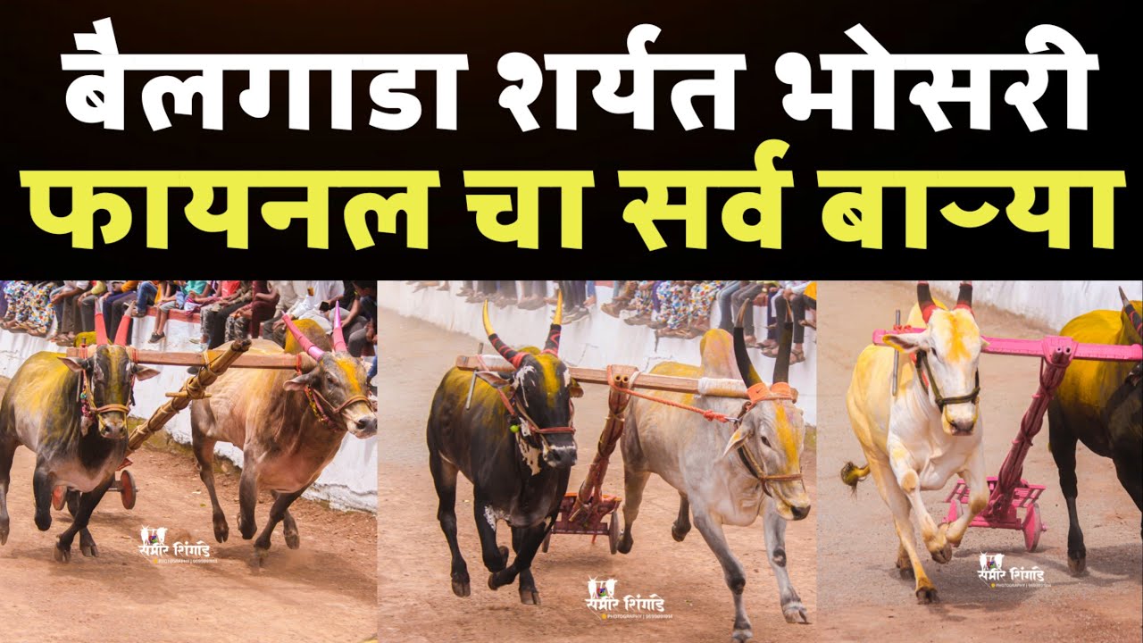 बैलगाडा शर्यत भोसरी ! फायनल चा सर्व बाऱ्या ! live bailgada sharyat 
