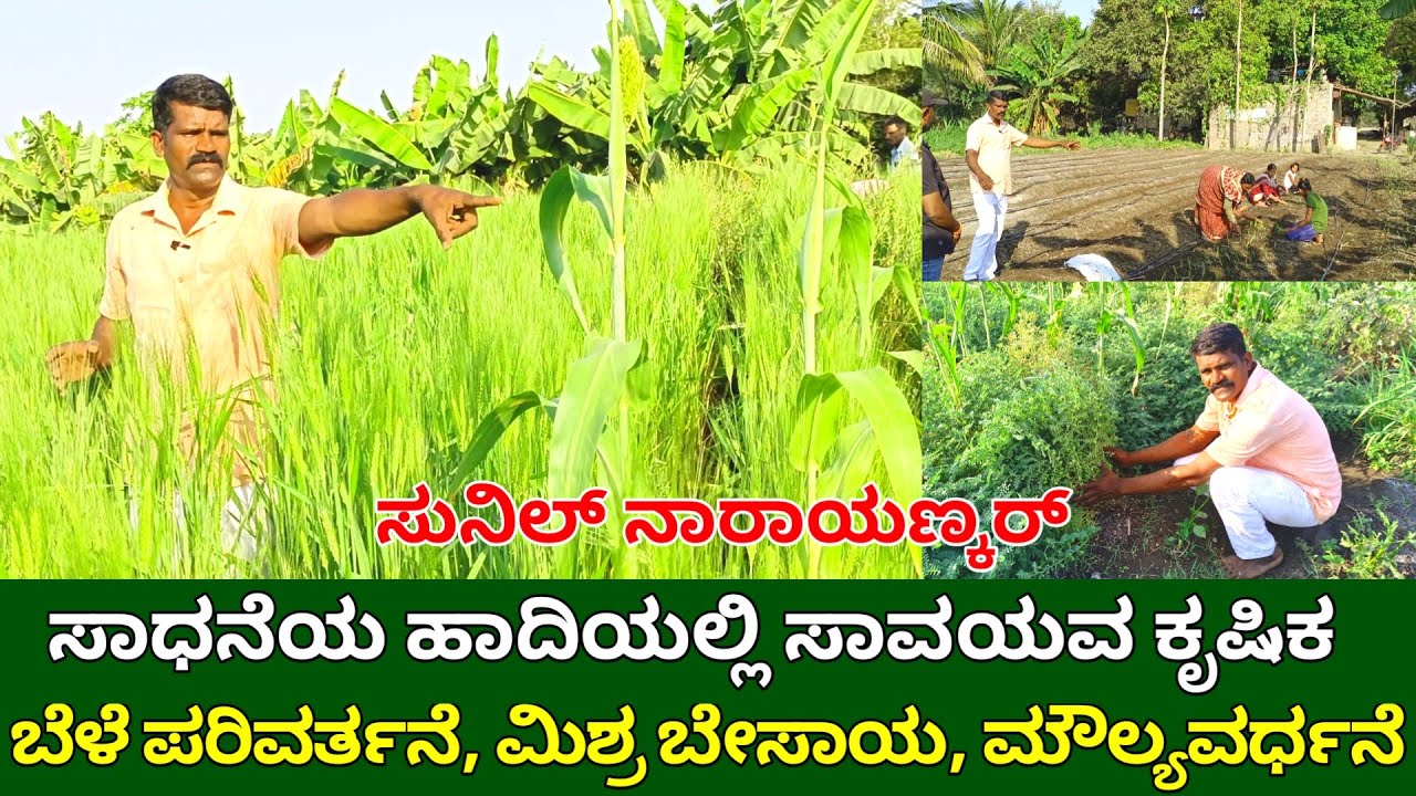 ಸಾಧನೆಯ ಹಾದಿಯಲ್ಲಿ ಸಾವಯವ ಕೃಷಿಕ | ಬೆಳೆ ಪರಿವರ್ತನೆ, ಮಿಶ್ರ ಬೇಸಾಯ | multi-cropping | intercropping farming