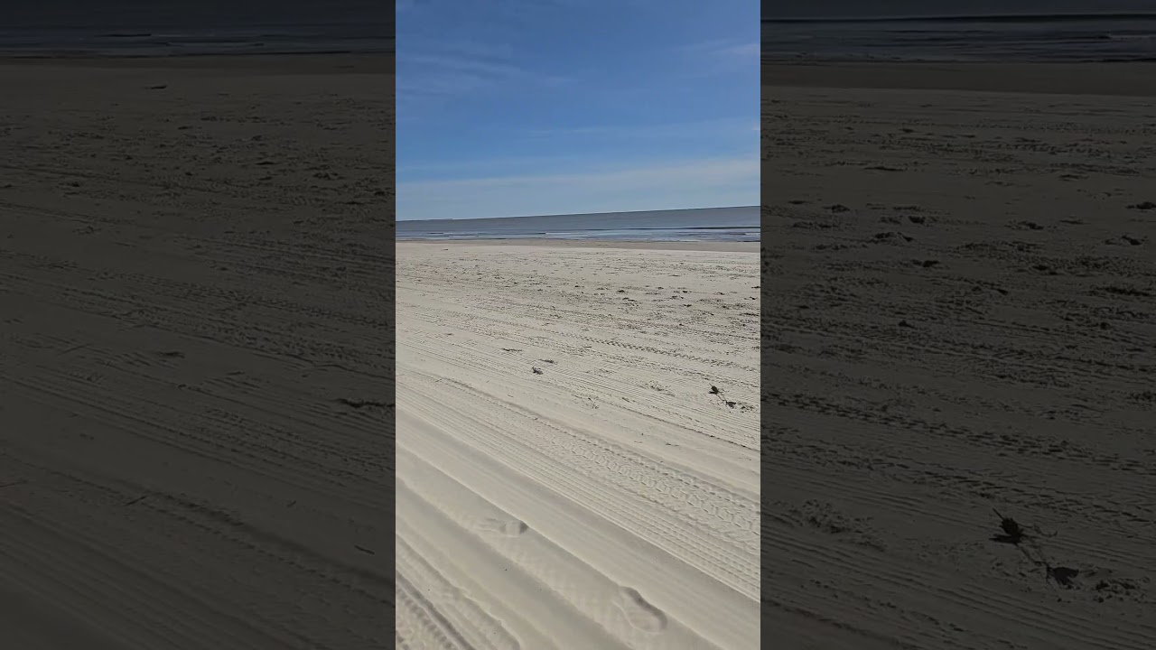 Port Saint Joe FL