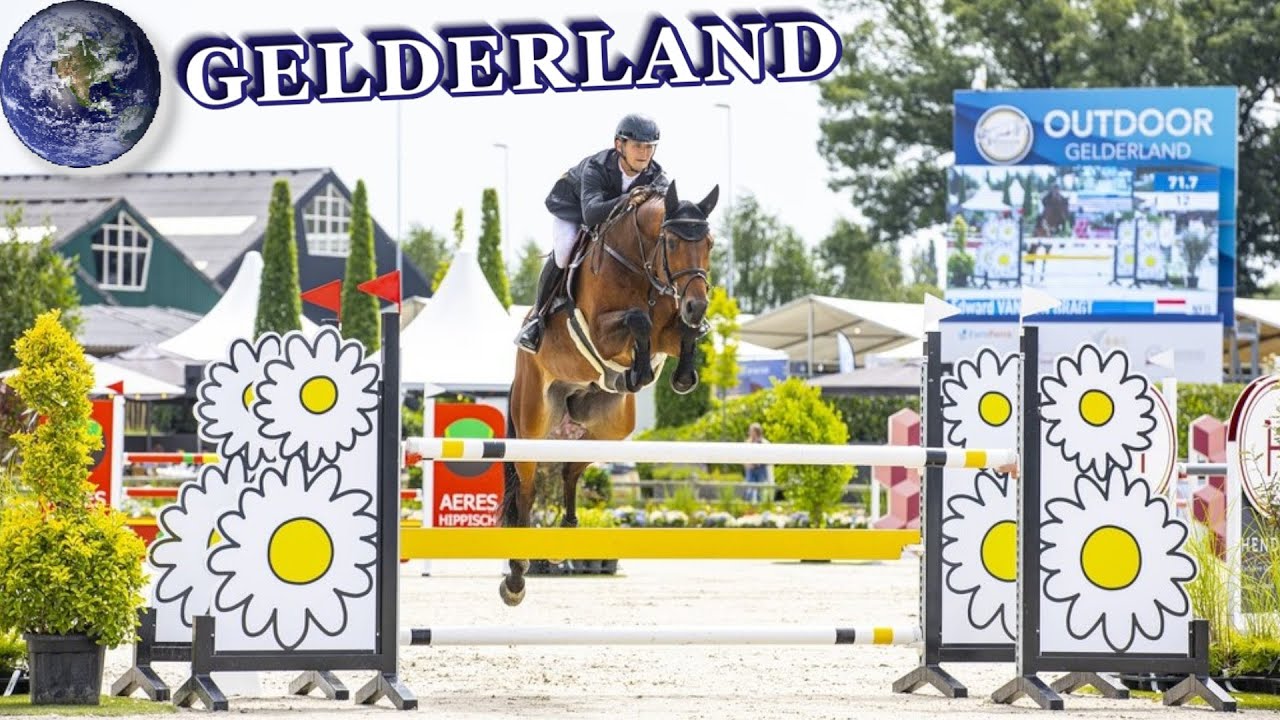 TOP Beautiful Gelderland Horse in the World!
