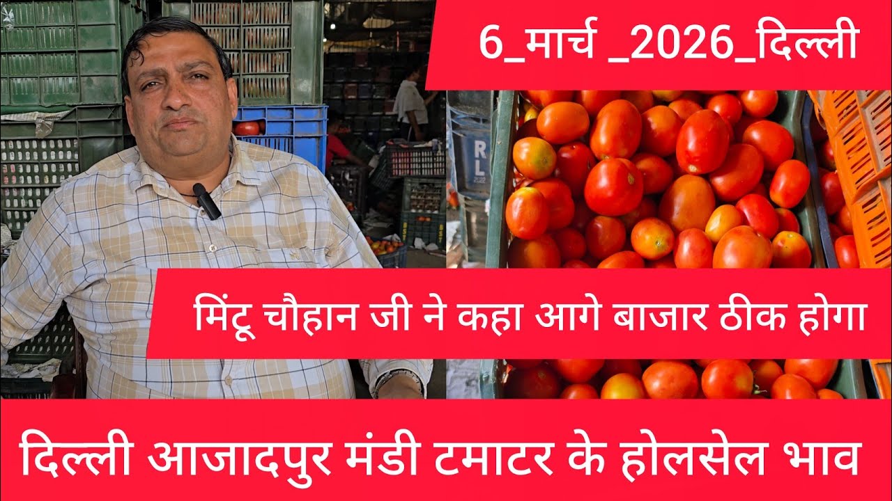 6 March 2026 दिल्ली 🍅टमाटर के भाव azadpur Delhi mandi today tomato market price #tomatomarket 