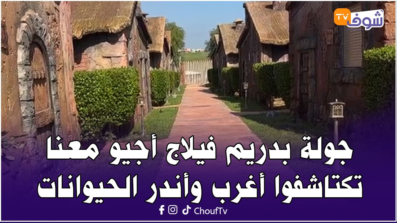 مباشرة من بنسليمان ... جولة بدريم فيلاج أجيو معنا تكتاشفوا أغرب وأندر الحيوانات