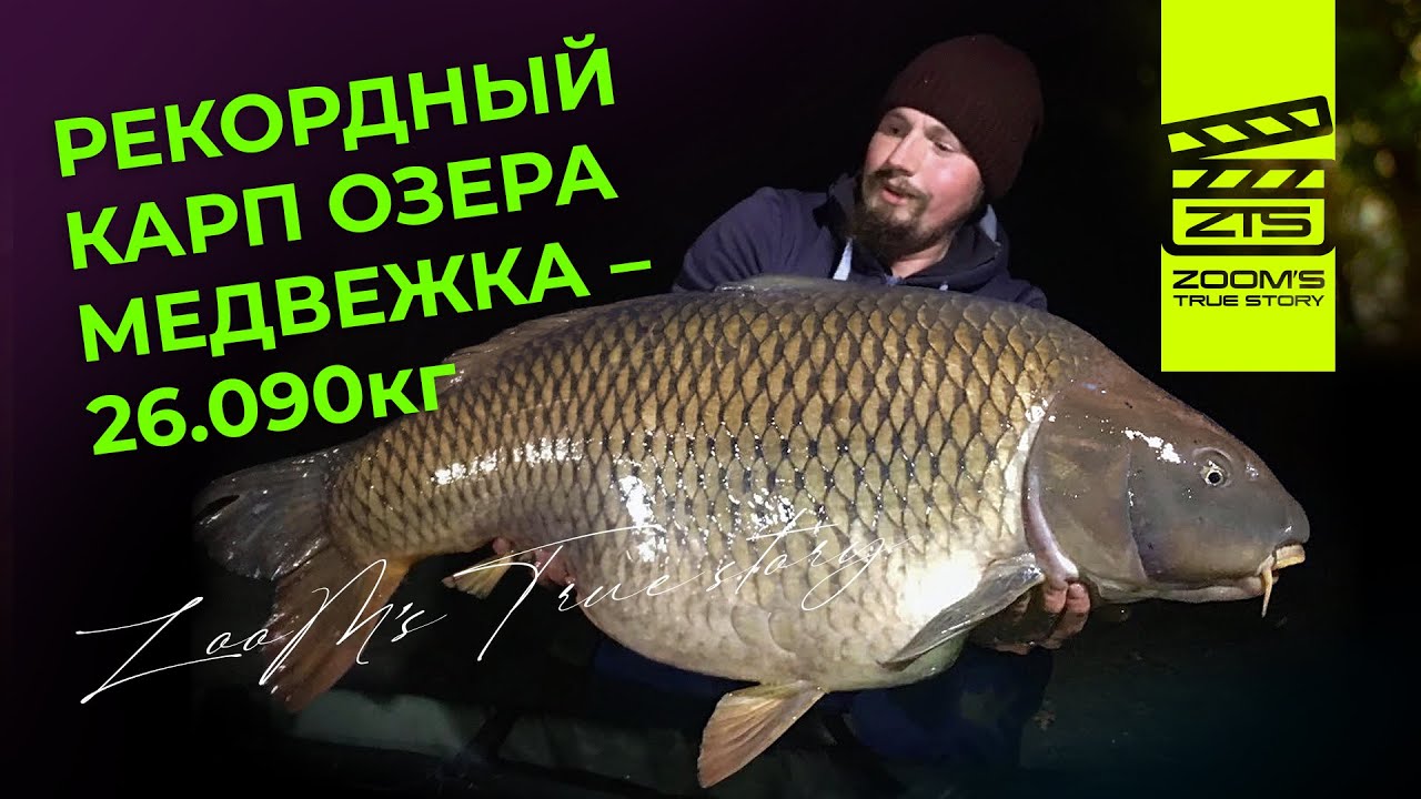 Рекордный карп озера Медвежка - 26,090kg / / ZooM’s True Story