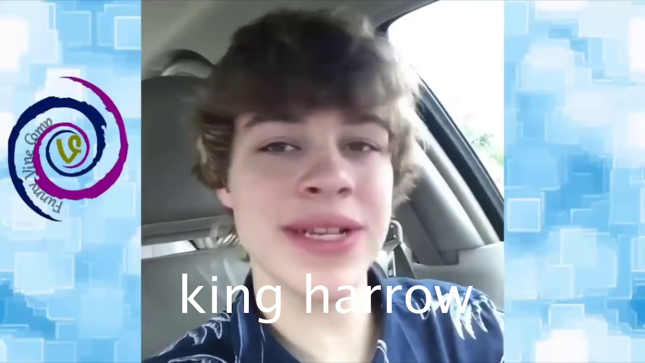 The dragon prince as vines