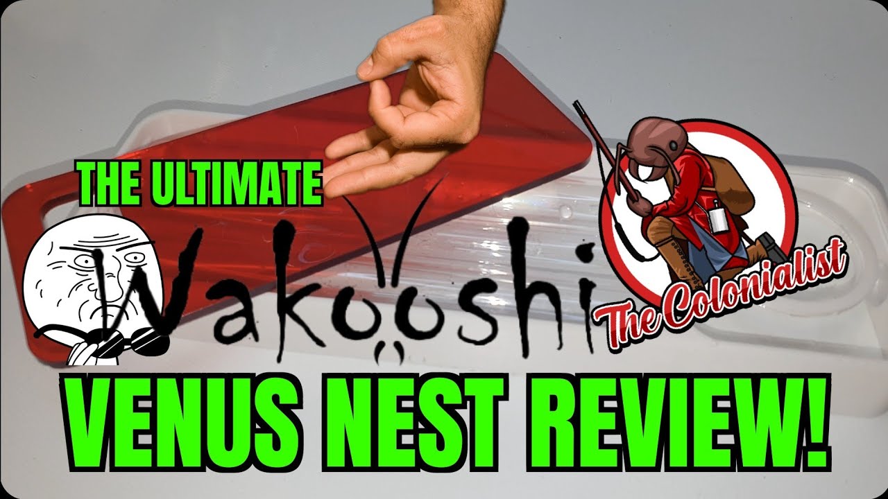 The Ultimate Wakooshi Venus Nest Review
