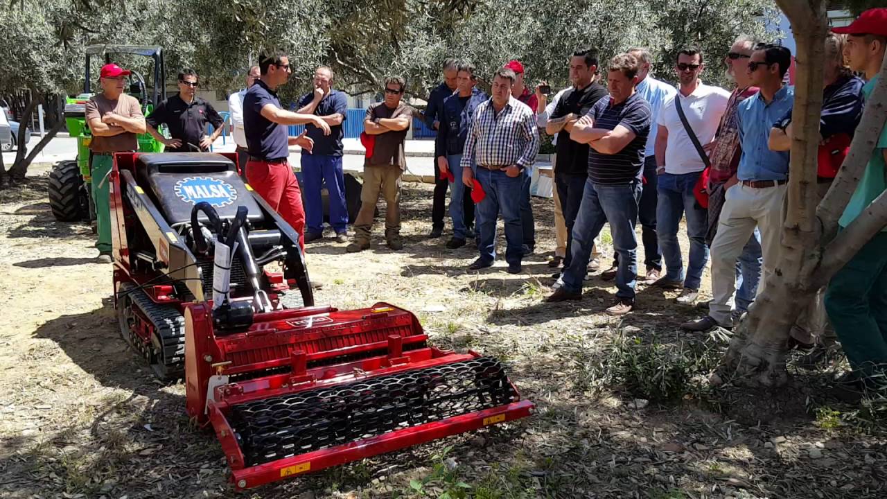 Demostraci&oacute;n DINGO RIVERSA