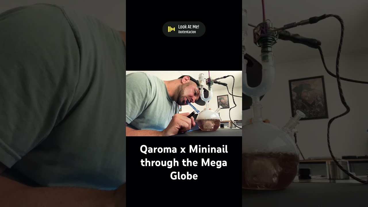 Qaroma x Mininail through the Sneaky Pete Mega Globe. Mac 1 flower x lemon tree hash rosin.