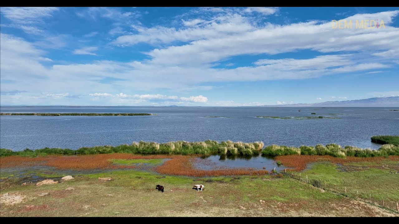 Ховд аймаг, Хар ус нуур | Khar us nuur, Khovd | Mongolia 4k