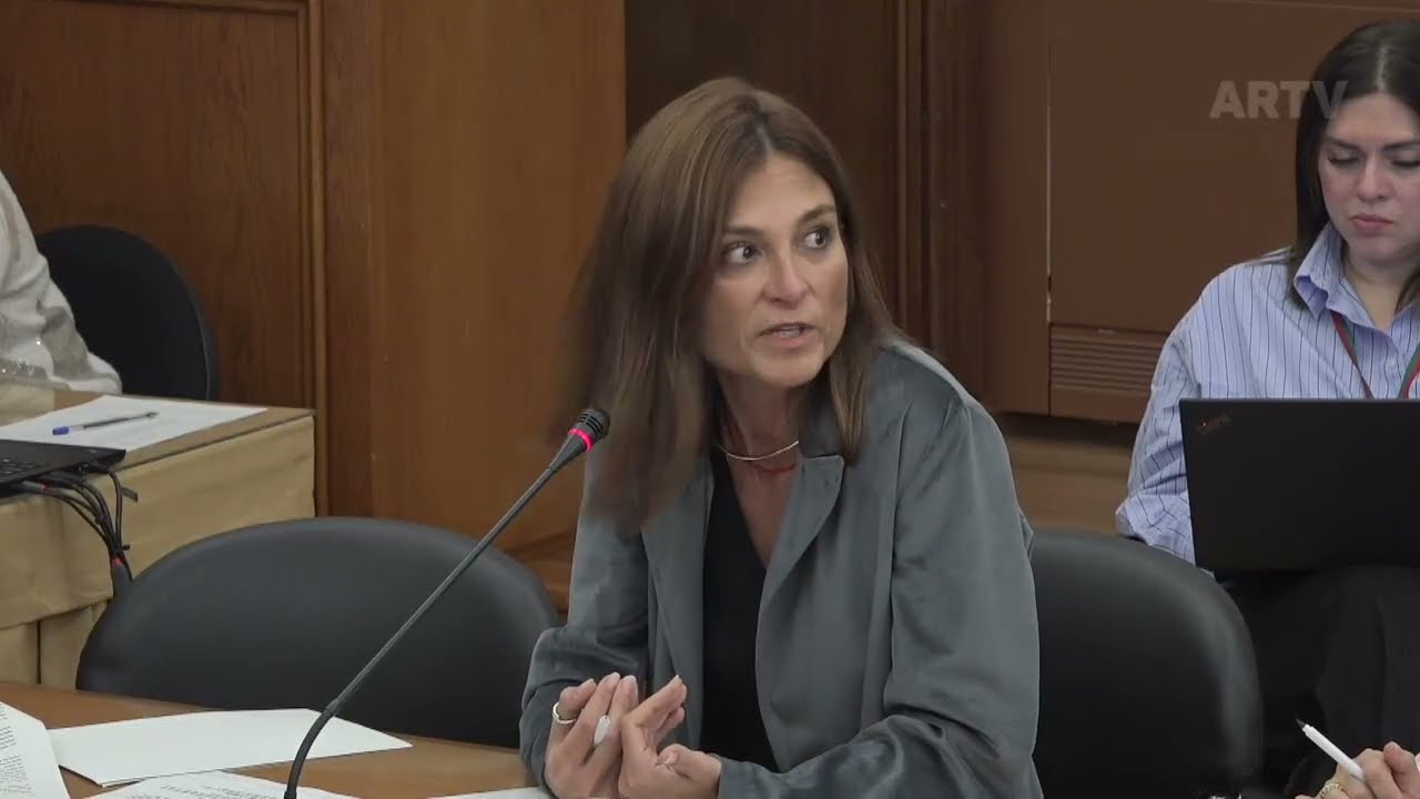 03-03-2026 | Audição do Diretor Nacional da PSP | Isabel Moreira 2ª