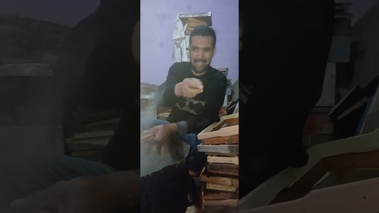 طريقة توجيه خلية للعسل 