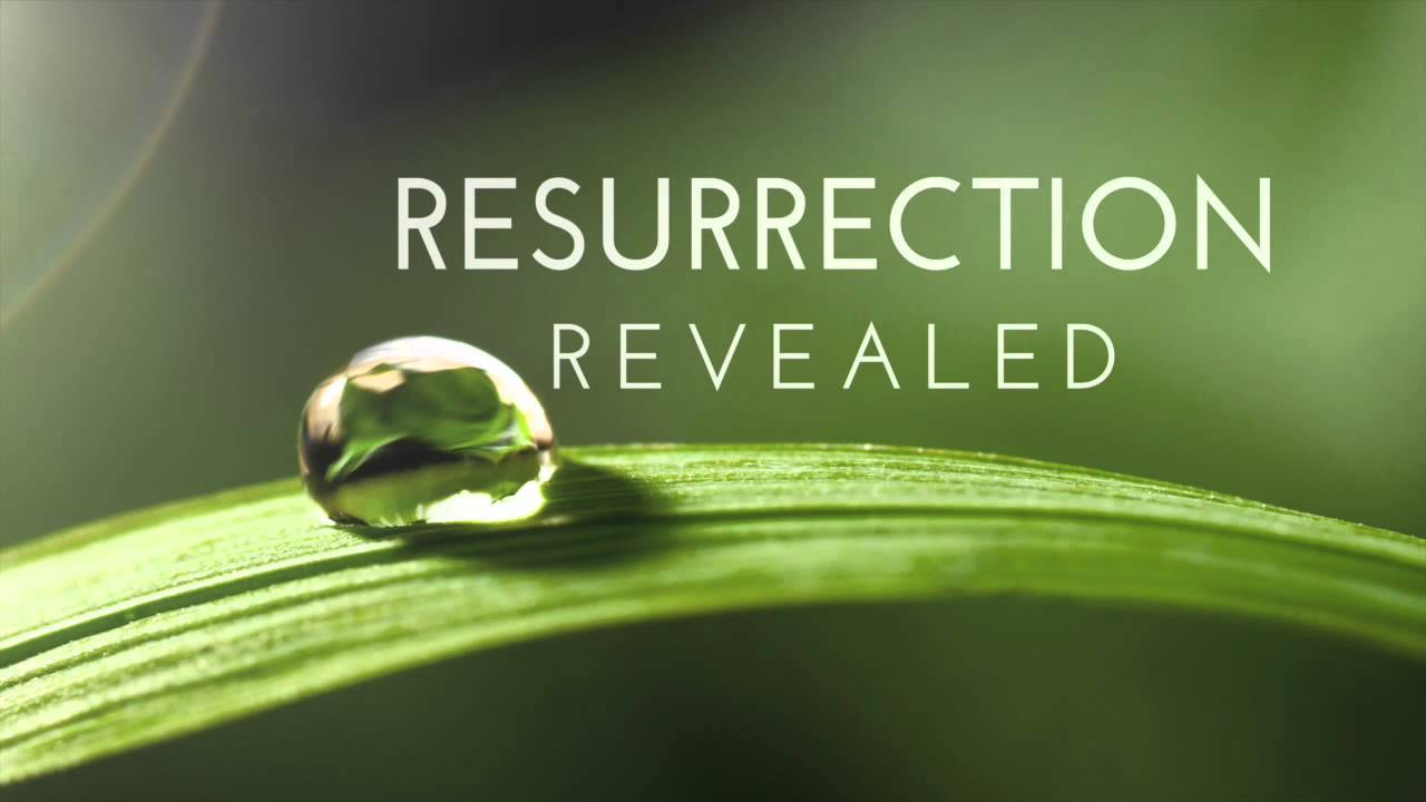 Resurrection on ABC - Full Review of Ep1 'The Returned' - 