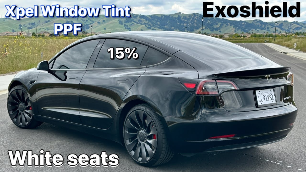 2023 Tesla Model 3 Window Tint + PPF (White seats)