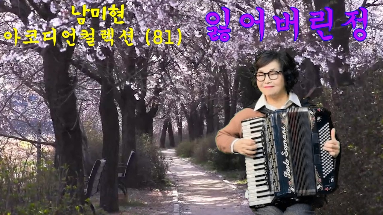 남미현아코디언컬렉션(81)잃어버린정 (김수희)