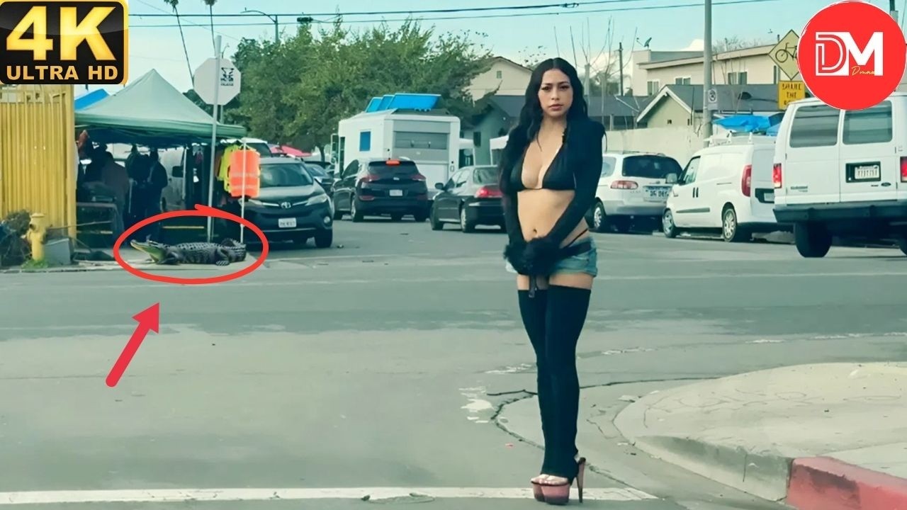 TOTAL IDIOTS AT WORK | Instant Regret Fails Compilation 2026 #523 Best Of The Week