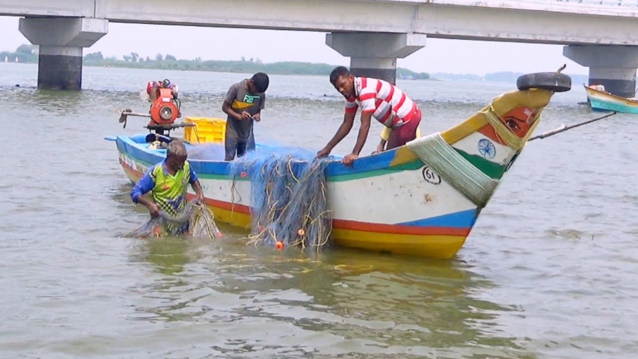Pulicat lake is the second largest brackish water lagoon in india
