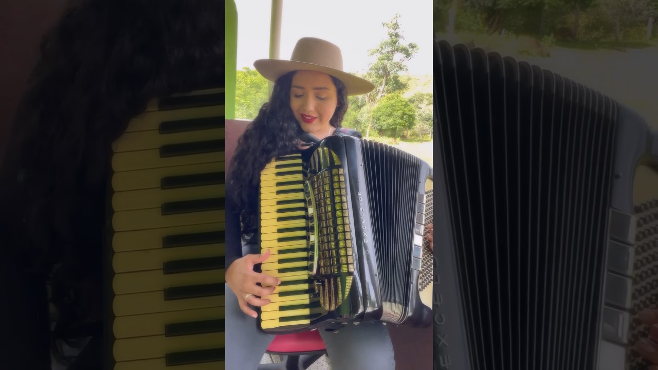 Vida de Ga&uacute;cho- Adelar Bertussi 🎵💗 #musica #gaiteiras #music #gaita
