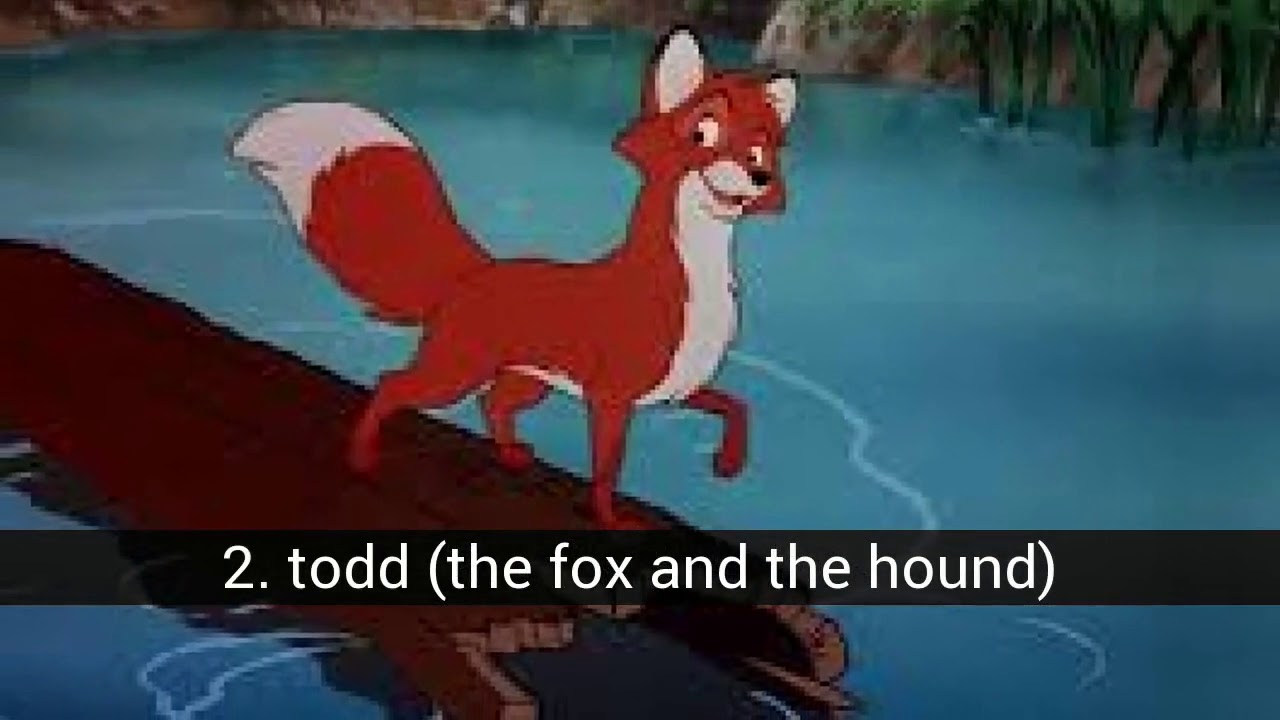 Most famous FOXES