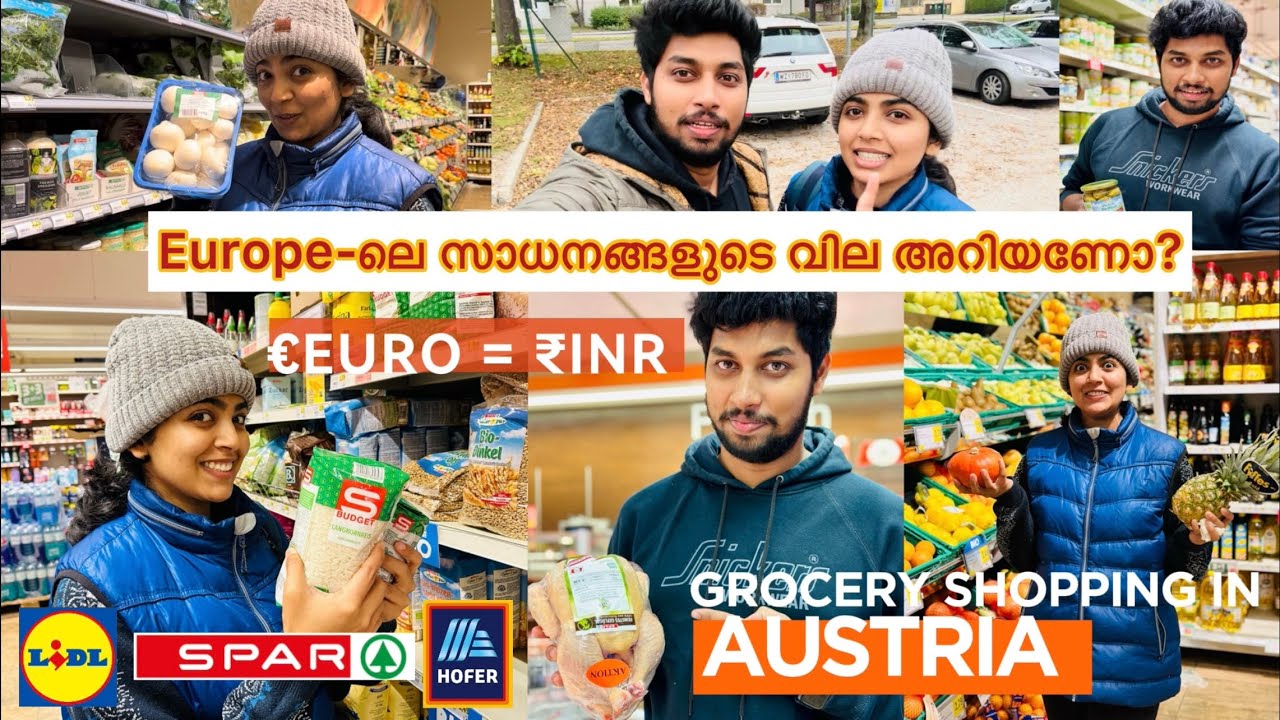 Europe-ലെ സാധനങ്ങളുടെ വില😨 Grocery Shopping in Europe Austria Malayalam | Living Cost | Mallu Vlog