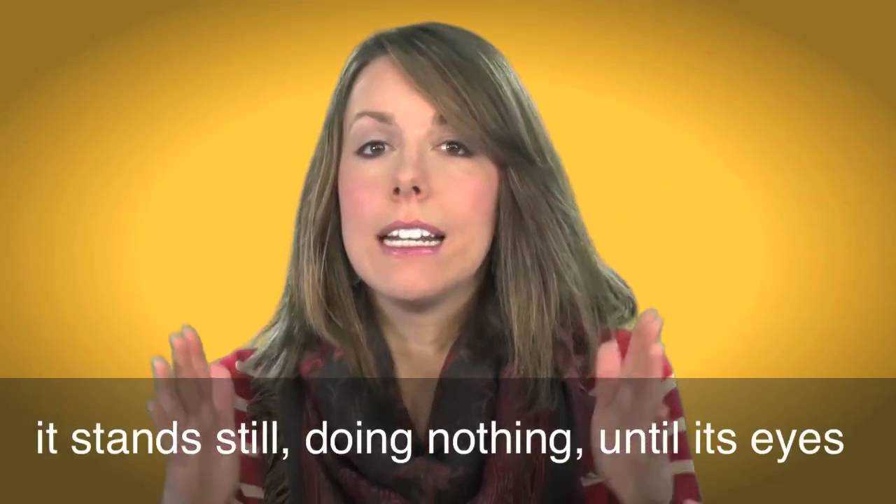 English in a Minute: Deer in the Headlights