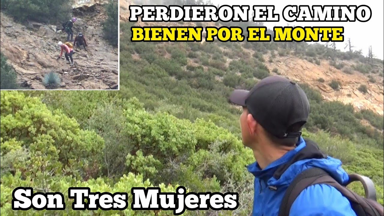 Encontramos Tres Mujeres Perdidas En Este Bosque