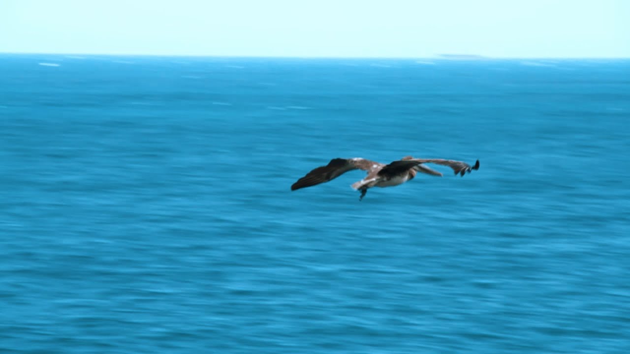 Rauser ft Jonnay Taylor, Louis- Aguanile (Day to day)