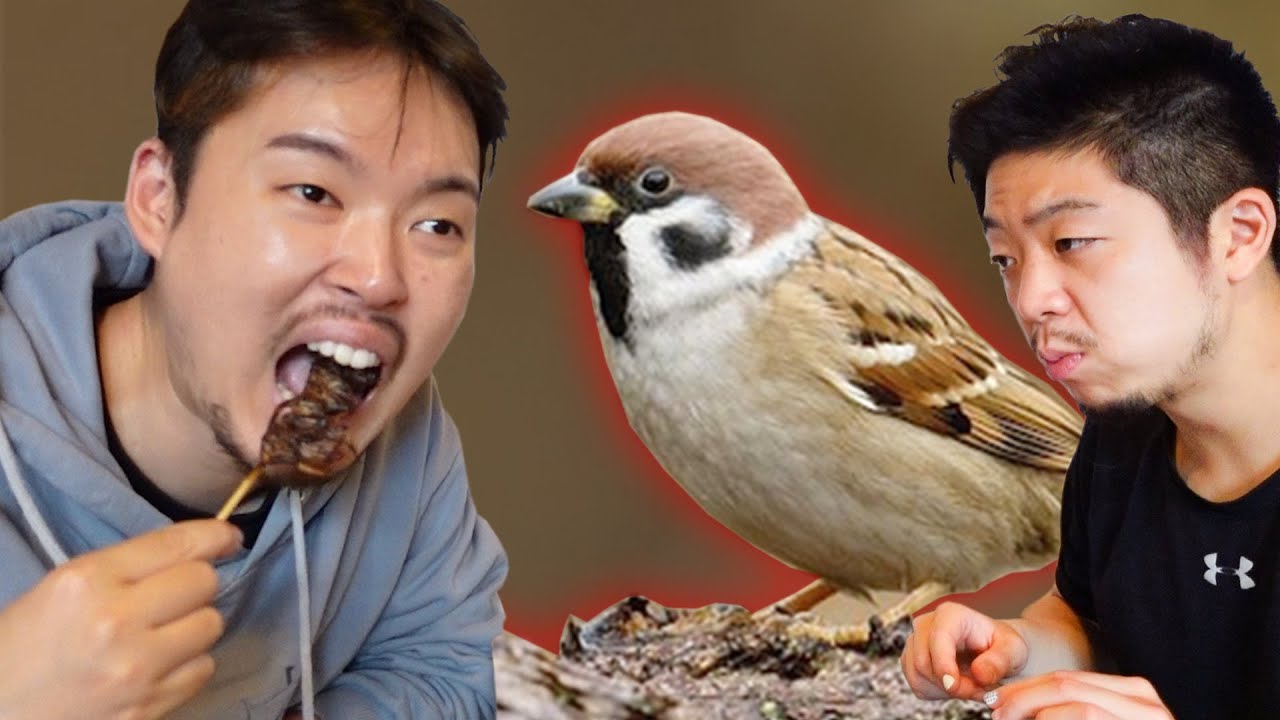 '참새' 먹어봤습니다. (Ate 'Sparrow')