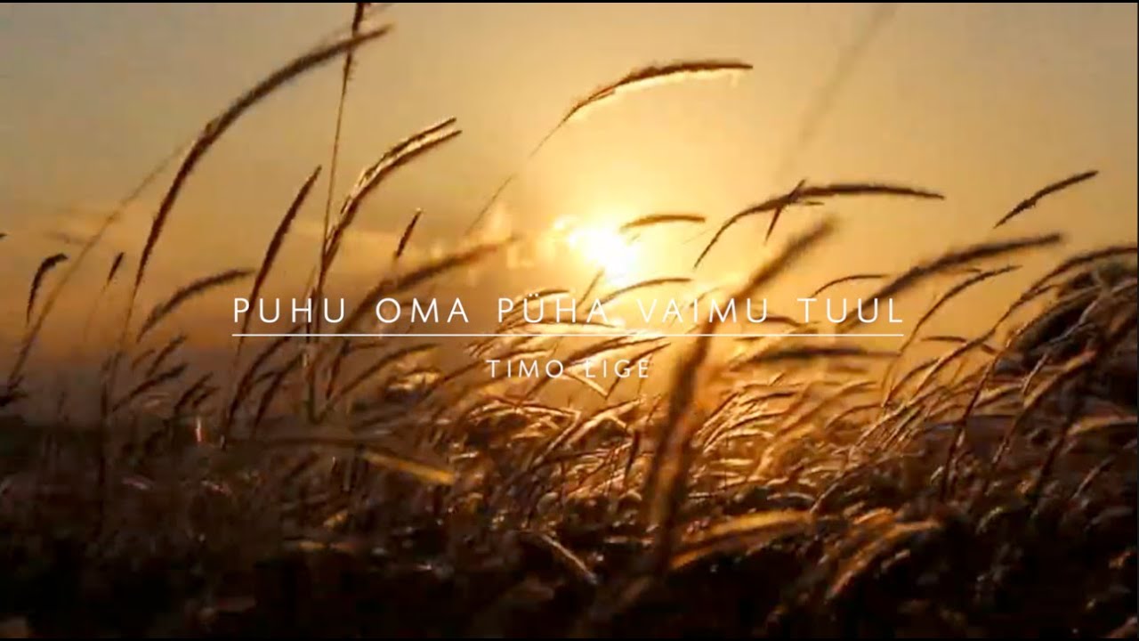 Timo Lige - Puhu oma Püha Vaimu tuul