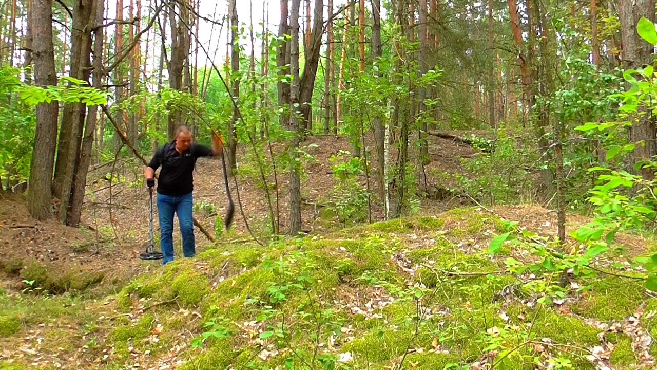 ЛЕСНОЙ КОП С СИМПЛЕКСОМ. ЕЩЁ ЕСТЬ В ЛЕСУ МОНЕТОСЫ!