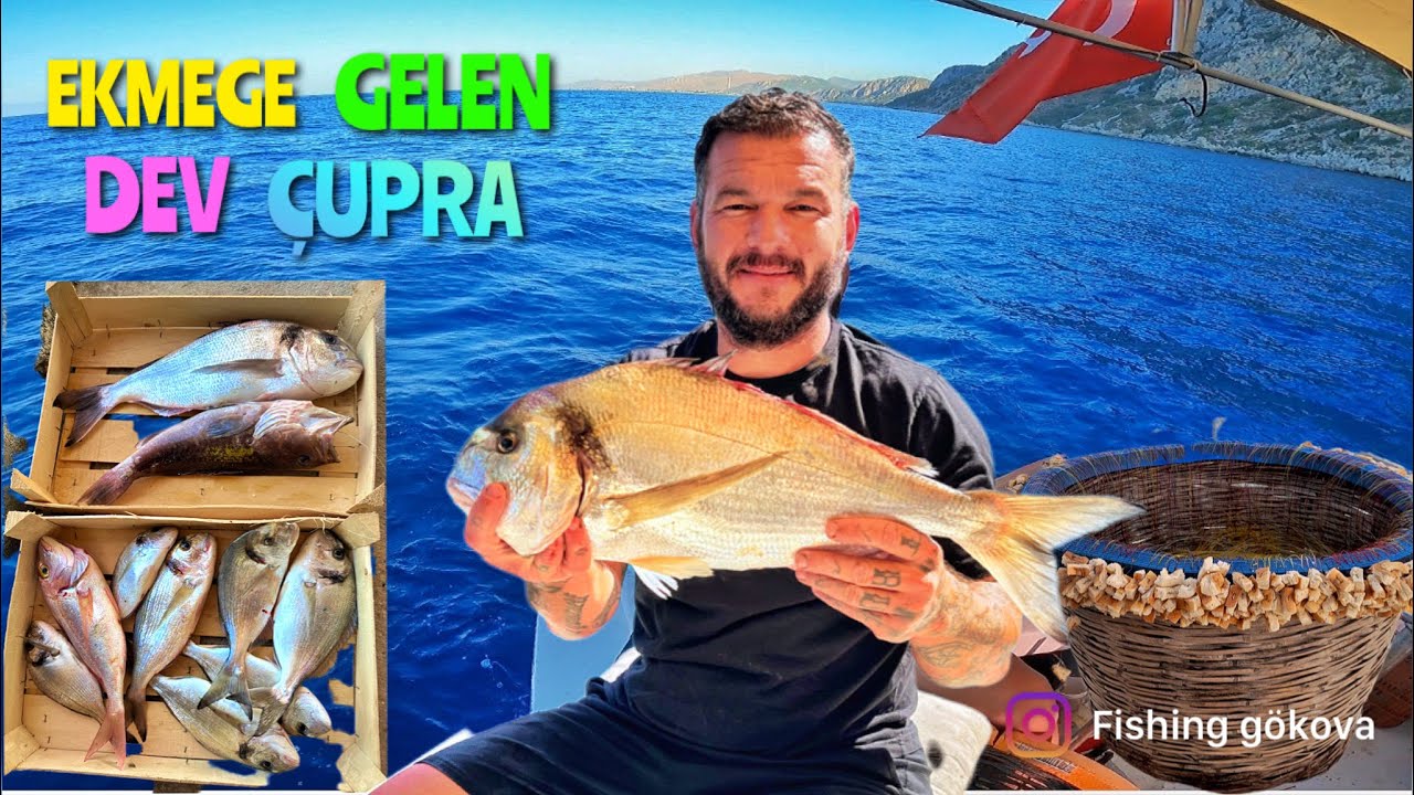 İNCE VE KALIN PARAGAT ATTIM/ÇOK GÜZEL BALIKLAR YAKALADIK #balıkçı #paragatavı #balıkavıvideoları