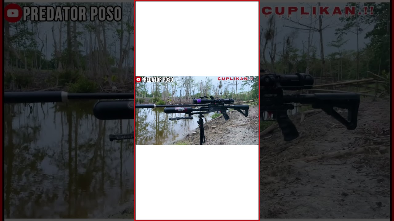 BERBURU PERGAM DAN PUNAI #predatorposo