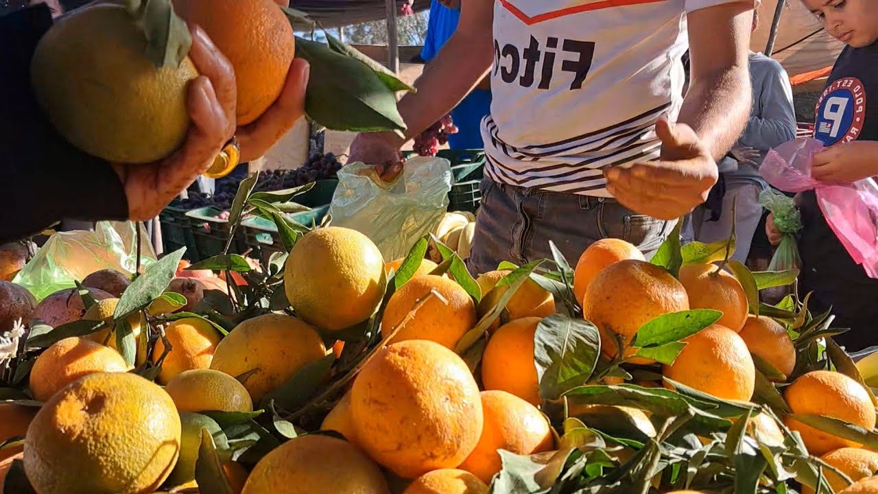 #سبت جزولة اقليم أسفي _مشينا السوق أجواء زوينة وميمكنش نمشي السوق ومنشويش اللحم