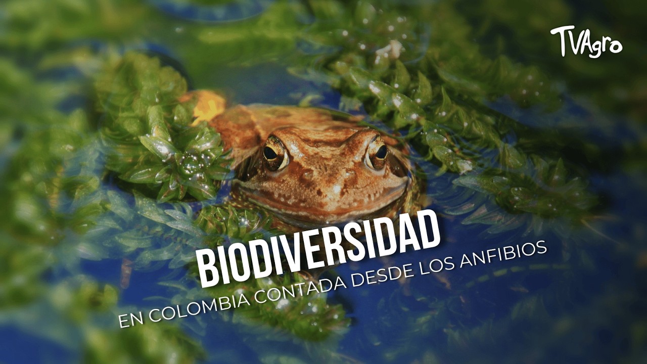 Biodiversidad en colombia contada desde los anfibios  - TvAgro por Juan Gonzalo Angel