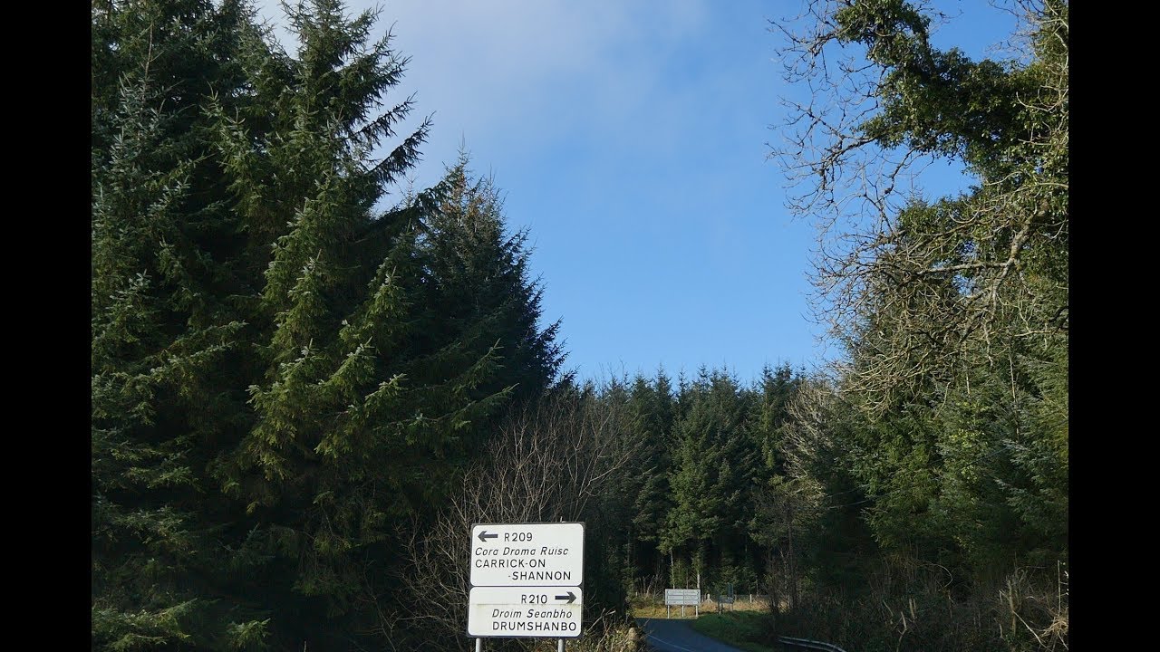 Sitka Spruce Afforestation of Leitrim - Ear to the Ground 2018