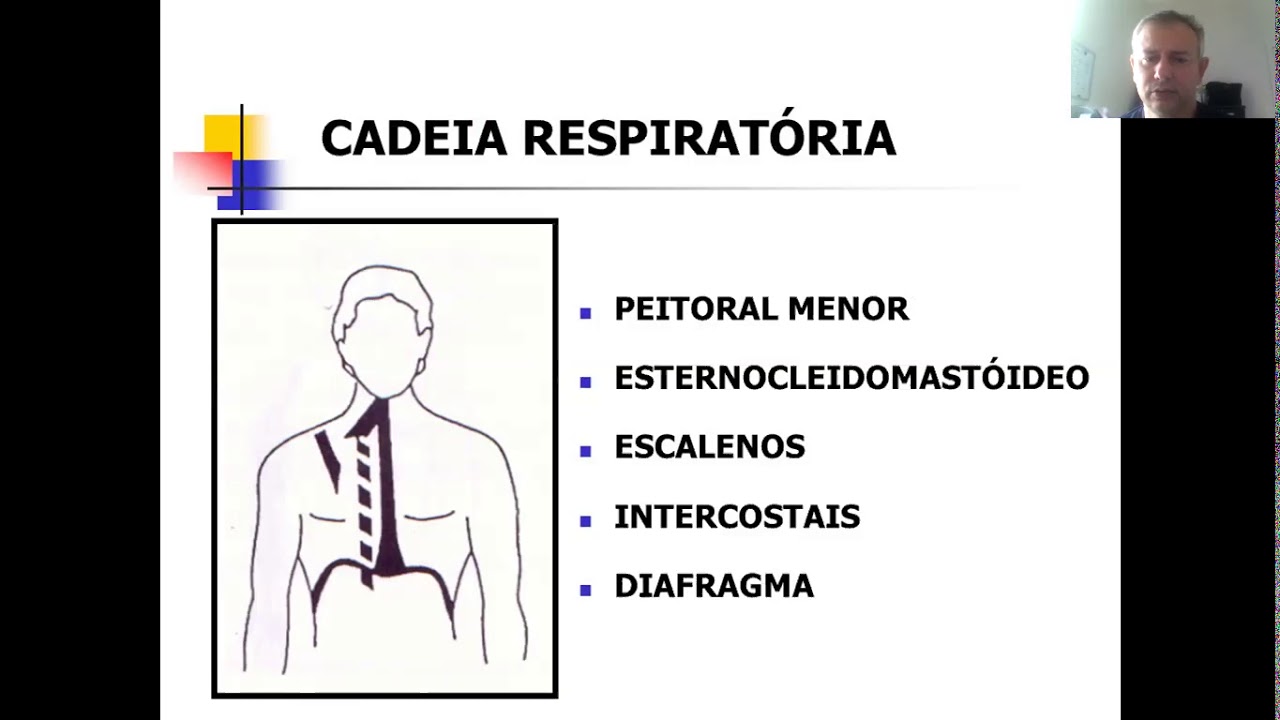 Aula de RPG: Cadeias Musculares