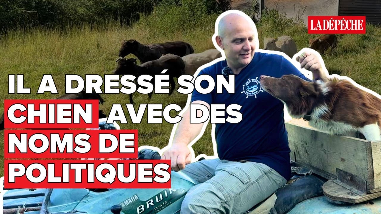 Sarko pour aller &agrave; droite, Hollande pour tourner &agrave; gauche, voici le politichien
