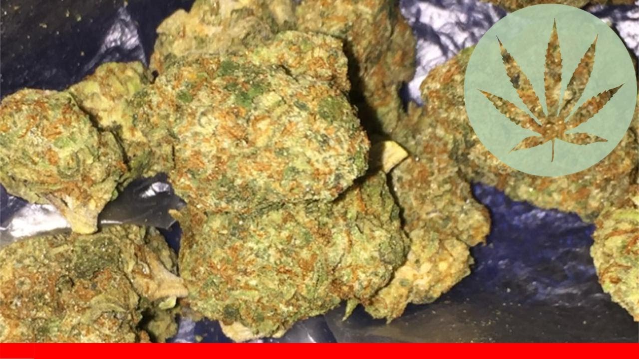 Holy Grail Kush - All About This Strain
