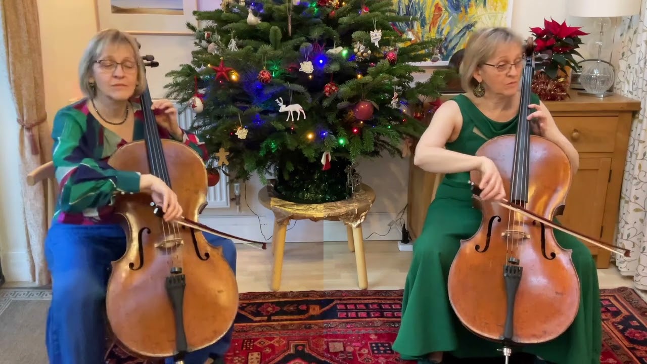 Gabriel’s Oboe - Morricone - All Cello version!