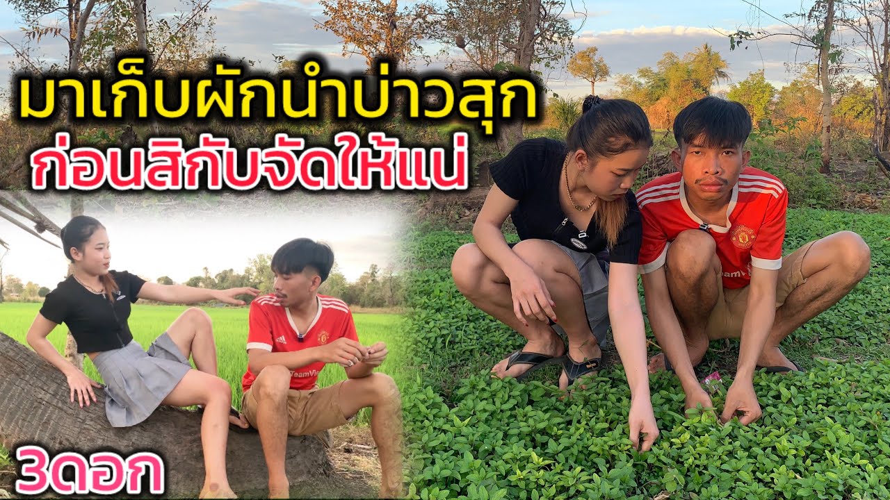 ก่อนกับบ้านจัดให้แต่3ดอกคือสิมีแฮงคัก