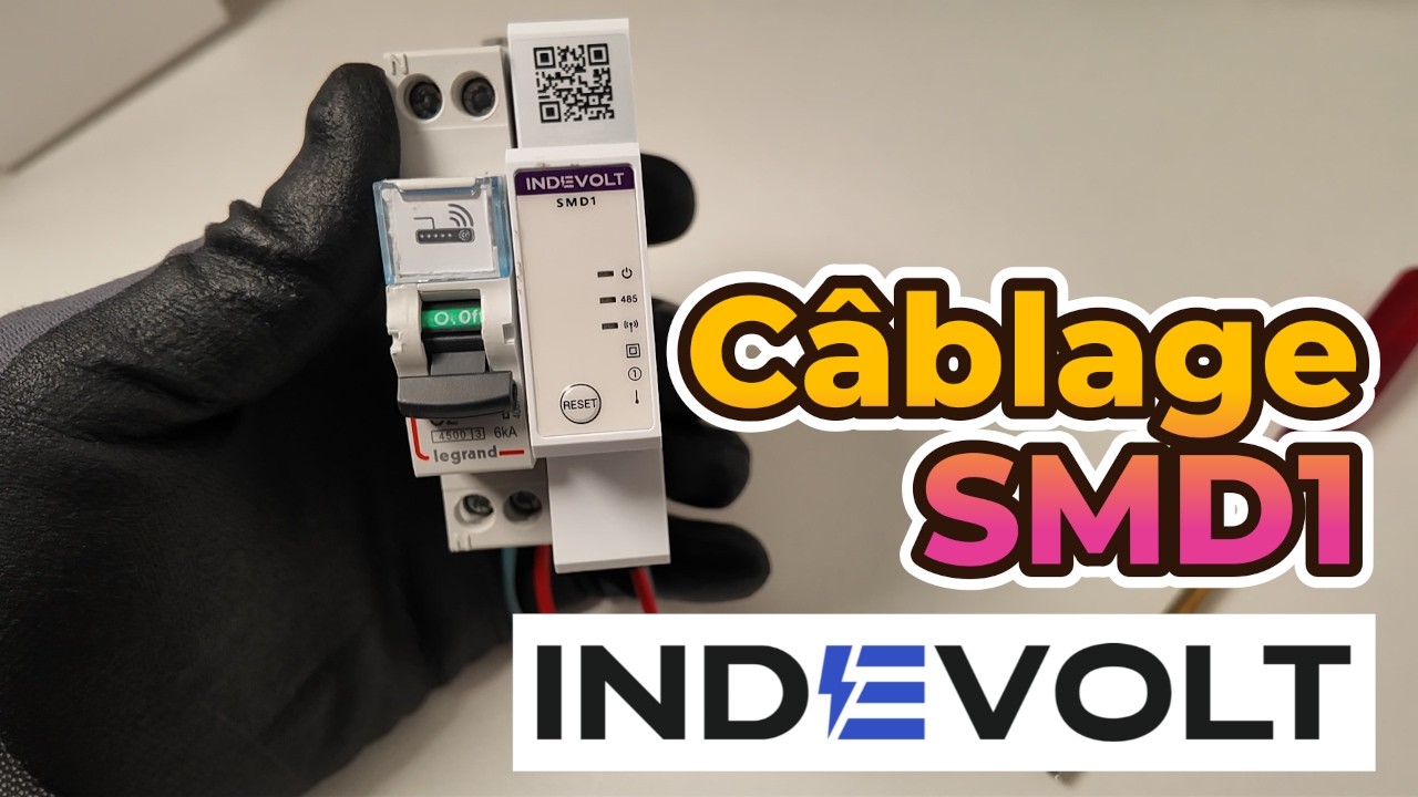 Installer le compteur intelligent SMD1 Indevolt avec BK1600 ULTRA | Tutoriel pas à pas en vidéo