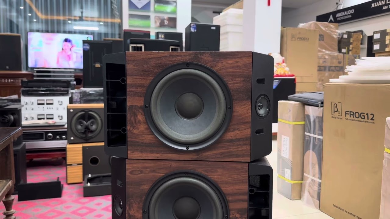 Loa Bose 301 seri ll ,seri lV , 6.2 mầu vàng , mầu đen bãi xịn em về hàng . Mọi kết nối ☎️0985820665