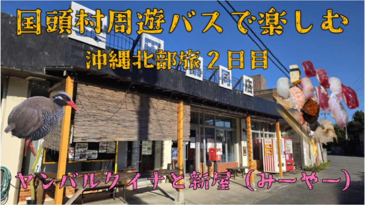 国頭村周遊バスで楽しむヤンバルクイナと新屋(みーやー)　沖縄北部旅２日目