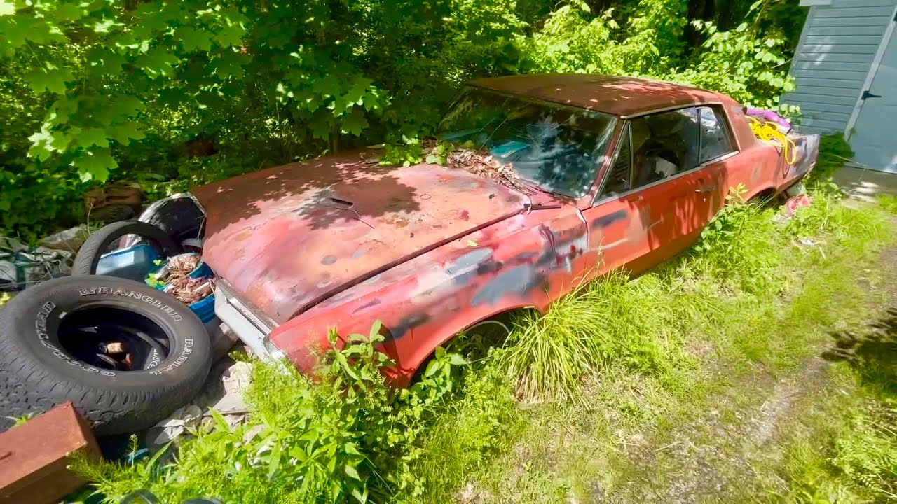 1965 Pontiac GTO Sitting for Years - Found & Rescued